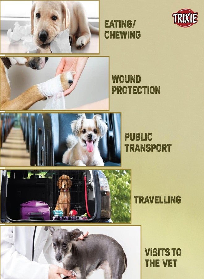 Trixie: - Plastic Enclosed Dog Muzzle | Made with Durable Plastic Material, Lightweight and Fully Adjustable | Helps Protect Your Dog and The Surroundings - Black, 36 cm L-XL - Image 3